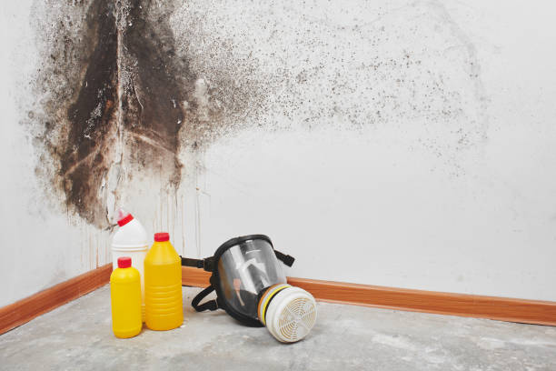 Salem, UT Mold Remediation Company